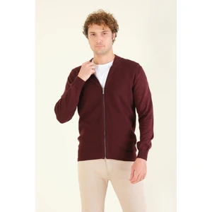Giyim Dünyası Erkek Hakim Yaka Petek Örgü Fermuarlı Hırka Bordo