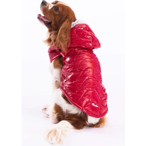 Kırmızı Light Wave Anorak Yelek Köpek Yeleği Köpek Kıyafeti Köpek Yağmurluk