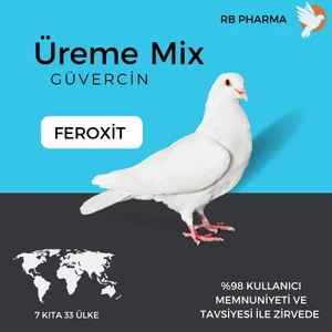Feroxit-Şampiyon Olmak Yetiştiriciler Feroxit Kullanıyor Ya Siz ?