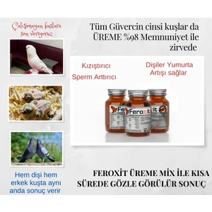 Feroxit-Güvercinler ' De Mucize Yumurta ve Performans  Arttırıcı 20 gr