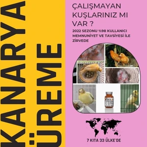 Kanarya Üreme Mix 50 Gr