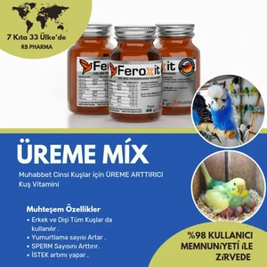 Feroxit-Muhteşem  Muhabbet Kuşu Premix