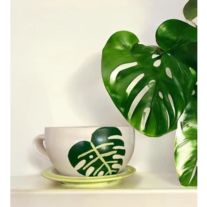 Momiko Tasarım Devetabanı El Yapımı Beton Büyük Fincan Saksı