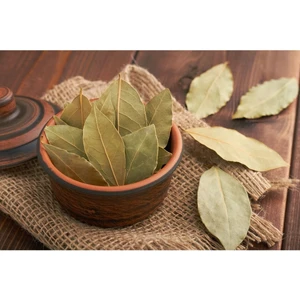Bade Shop Doğal Kurutulmuş Defne Yaprağı Egeden 50 gr
