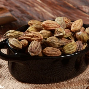 Bade Shop Sarı Halile 100 Gram ( Terminalia Chebula )