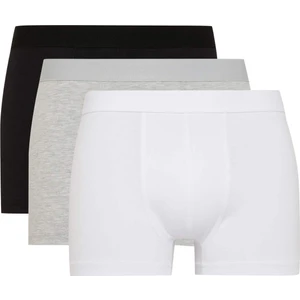 Erkek Regular Fit 3'lü Boxer A3152AX24AU