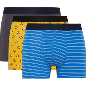 Regular Fit 3'lü Boxer D2328AX24AU
