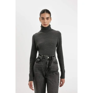 Regular Fit Yumuşak Dokulu Balıkçı Yaka Basic Düz Triko Kazak H1651AZ24WN