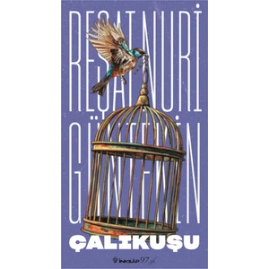 Çalıkuşu - Reşat Nuri Güntekin