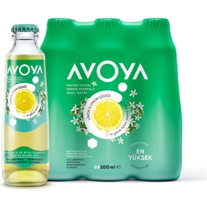 Limon ve Limon Çiçeği Aromalı Maden Suyu 6'lı 200 ml Ferahlatıcı ve Doğal İçerik