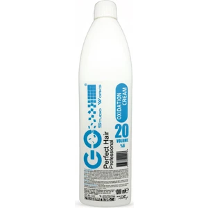 Go Studio Works Oksidan Krem 20 Volume (%6) 1000 ml