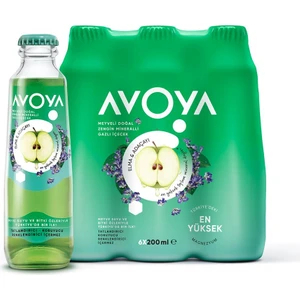 6'lı Elma&adaçayı Maden Suyu 200 ml