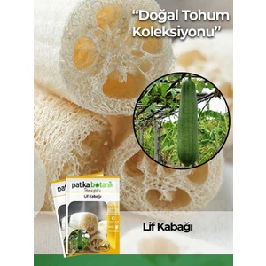 Patika Botanik 5 Adet Lif Kabağı Tohumu Kabak Tohumu