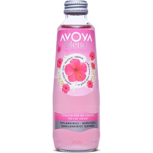 Blend 6'lı Hibiskus Meyveli Maden Suyu 250 ml