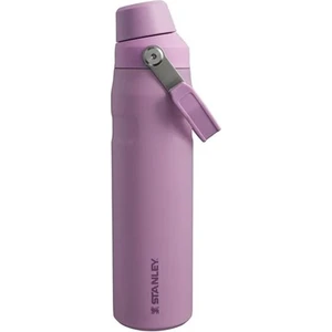 The Aerolight IceFlow Soğuk Su Termosu 0,60 Lt Lila