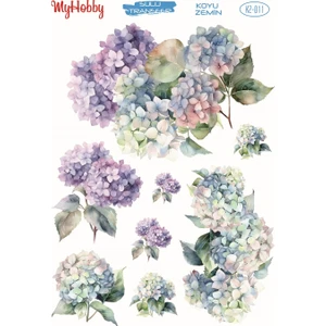 My Hobby Myhobby Koyu Zemin Sulu Transfer KZ-011 25X35C