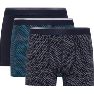 Regular Fit 3'lü Boxer D2314AX24AU