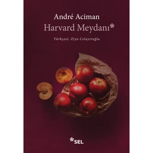 Harvard Meydanı - Andre Aciman