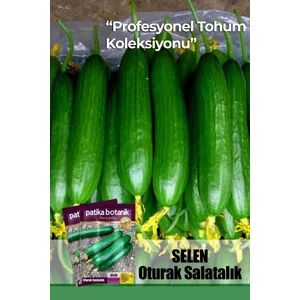 10 Adet Selen Salatalık Tohumu ( Erkenci, Dişi Çiçek)