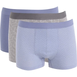 Regular Fit 3'lü Boxer D2316AX24AU