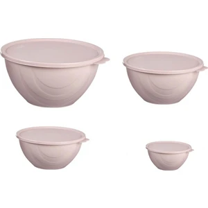 Moonstar Elegance Kapaklı Yoğurt Mayalama Kabı 4 Parça Saklama Kabı 4+2,5+1+0,5litre