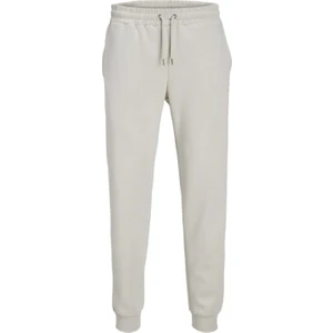 Jack & Jones Jpsgordon Jjstar Eşofman Altı 12248838