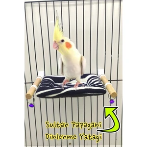 Ozzi Petshop Sultan Papağanı Dinlenme Yatağı Ahşap Tünekli