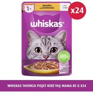 Tavuklu 85 gr 24X