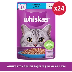 Ton Balıklı 85 gr 24X