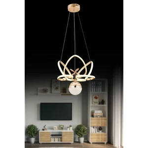 Pera Jewelry LED Avize Kelebek Gold 3renk Işıklı Avize