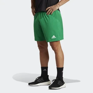 Adidas Performance IC7405 Entrada 22 Shorts