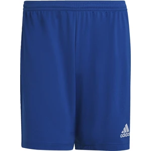 Adidas Performance HG6294 Entrada 22 Shorts