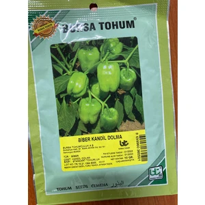 Bursa Tohum Kandil Biber  Tohumu 10 gr