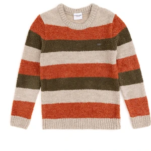 U.S. Polo Assn. Erkek Çocuk Taş Kazak /Triko 50293032-VR049