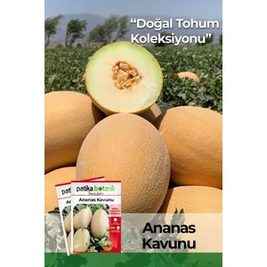 Patika Botanik 80 Adet Yerli Ata Ananas Kavun Tohumu