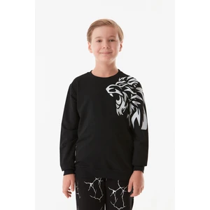 Aslan Baskılı Erkek Çocuk Sweatshirt