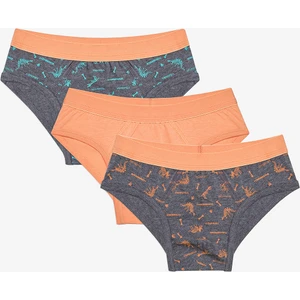 Erkek Çocuk Blue Solid 3lü Çok Renkli Slip Külot