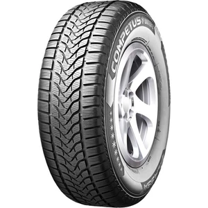 225/65 R17 106H Xl Competus Winter 2+ Oto Kış Lastiği (Üretim Yılı: 2024)