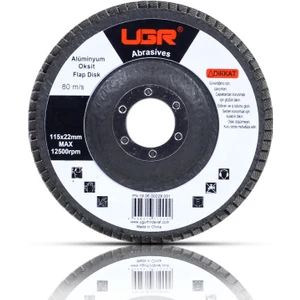 Ugr Metal Ahşap Flap Disk Zımpara 115 mm 100 Kum-5 Adet