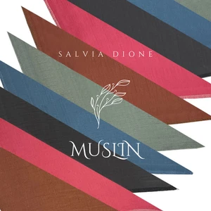 Salvia Dione 10lu Müslin Bebek Ağız Mendili Anne Bebek Emzirme Mama Salya Tükürük Ağız Silme Beslenme Bezi Mendil