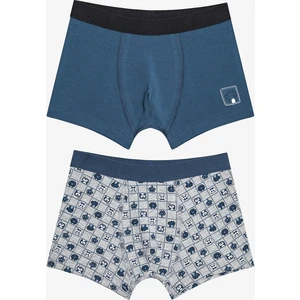 Erkek Çocuk Croco 2li Çok Renkli Boxer
