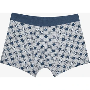 Erkek Çocuk Croco 2li Çok Renkli Boxer