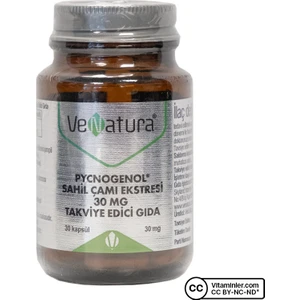 Pycnogenol Sahil Çamı Ekstresi 30 Kapsül