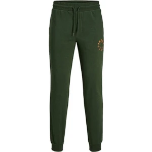 Jack & Jones Erkek Eşofman Altı