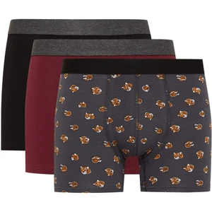 Regular Fit 3'lü Boxer D2331AX24WN
