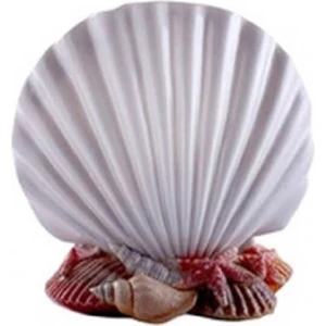 Inci Diş Fırçalık D-14462