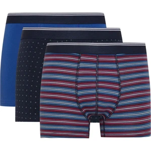 Regular Fit 3'lü Boxer D2321AX24WN