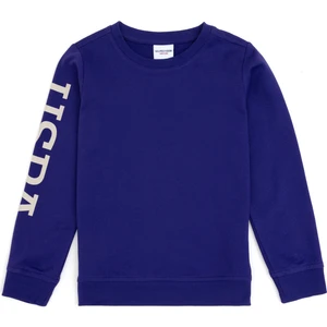 U.S. Polo Assn. Erkek Çocuk Mor Sweatshirt 50293643-VR038