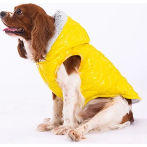 Sarı Light Wave Anorak Yelek Köpek Yeleği Köpek Kıyafeti Köpek Yağmurluk