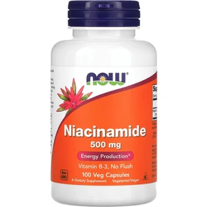 Foods Niacinamide 500 mg - 100 Veg Kapsül